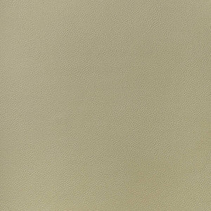Arcata Twig W78385 by Thibaut Fabric