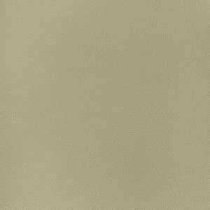 Arcata Twig W78385 by Thibaut Fabric