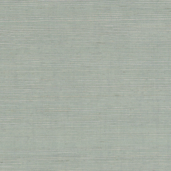 W7859 Brimsley 5 Aqua by Aoc Wallpaper Aoc Wallpaper W7859 Brimsley 5 AquaWallpaper Art Of Color Natural Textures Wallpaper %Oth 100%Si China </p><p>Repeat: H: 0, V: 0 36 in - Fabric Carolina -