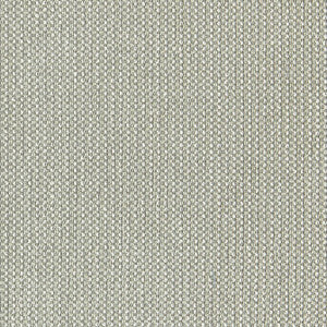 Elixer Smoke W80207 by Thibaut Fabric