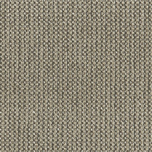 Elixer Earth W80209 by Thibaut Fabric
