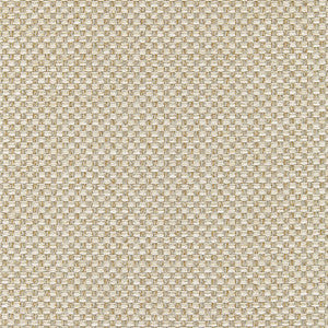 Palmetto Almond W80229 by Thibaut Fabric