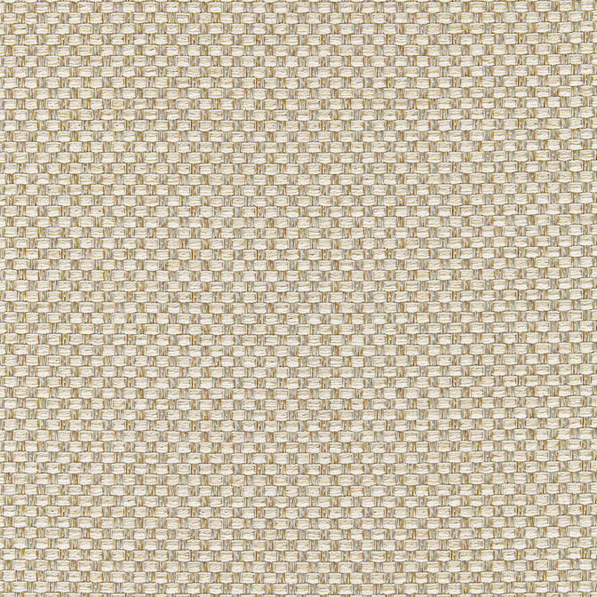 Palmetto Almond W80229 by Thibaut Fabric Thibaut Fabric Palmetto Almond W80229Fabric Kaleidoscope 37%Poly35%Ray27%Cot1%Nyl-acr b U.S.A. </p><p>Repeat: V: - 54 - Fabric Carolina -