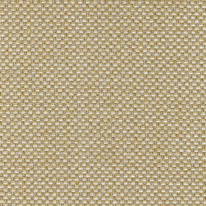 Palmetto Straw W80230 by Thibaut Fabric