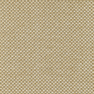 Palmetto Straw W80230 by Thibaut Fabric