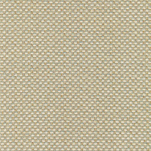 Palmetto Aqua W80231 by Thibaut Fabric