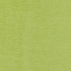 Aura Grass W80278 by Thibaut Fabric