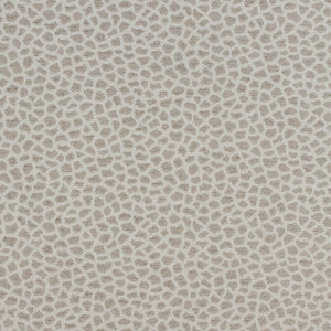 Masai Taupe W80423 By Thibaut Fabric