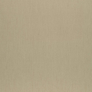 Orion Sand W80474 by Thibaut Fabric