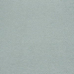 Kali Aqua W80517 by Thibaut Fabric