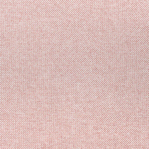Picco Blush W80705 by Thibaut Fabric