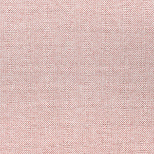 Picco Blush W80705 by Thibaut Fabric