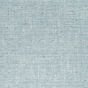 Elgin Seaglass W80939 by Thibaut Fabric