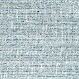 Elgin Seaglass W80939 by Thibaut Fabric