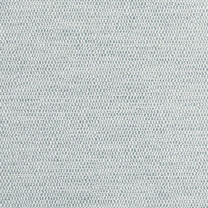 Rito Fog W8116 by Thibaut Fabric