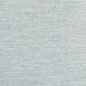Rito Fog W8116 by Thibaut Fabric