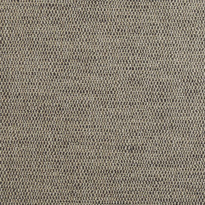 Rito Smoke W8117 By Thibaut Fabric