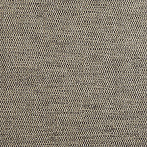 Rito Smoke W8117 by Thibaut Fabric