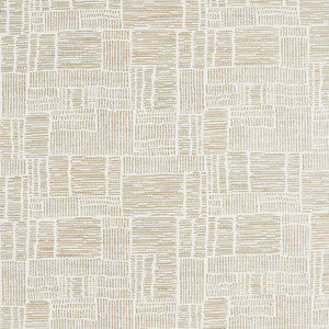 Vario Cashmere W8123 by Thibaut Fabric