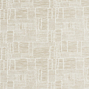 Vario Cashmere W8123 by Thibaut Fabric