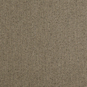 Tinta Mocha W8129 by Thibaut Fabric