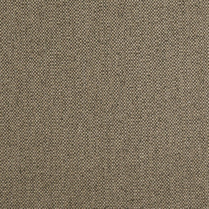 Tinta Mocha W8129 by Thibaut Fabric