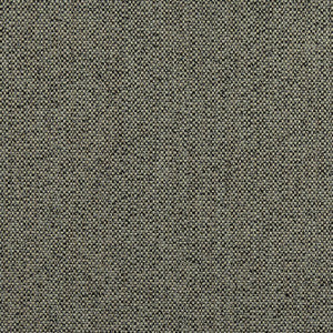 Tinta Onyx W8131 By Thibaut Fabric