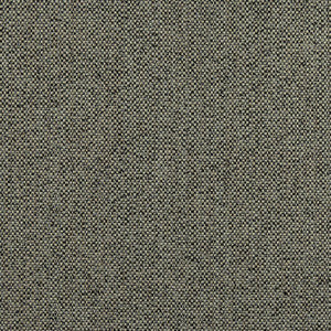 Tinta Onyx W8131 by Thibaut Fabric