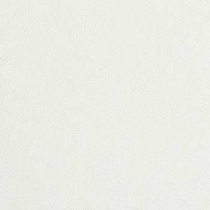 Dolcetto Frost W8145 by Thibaut Fabric