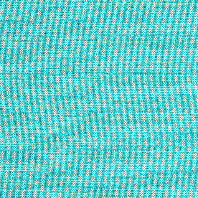 Cameron Capri W81647 by Thibaut Fabric Thibaut Fabric Cameron Capri W81647Fabric Locale 100% Solution Dyed Acrylic ITALY </p><p>Repeat: V: 0 54 - Fabric Carolina -