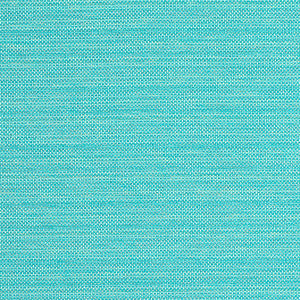 Cameron Capri W81647 by Thibaut Fabric
