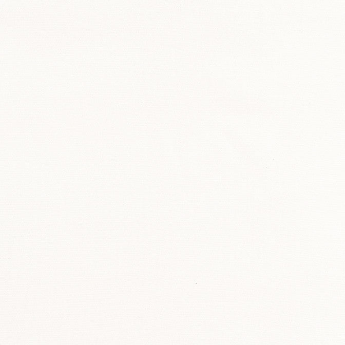 Tessa Snow White W81650 by Thibaut Fabric Thibaut Fabric Tessa Snow White W81650Fabric Locale 100% Solution Dyed Acrylic MEXICO </p><p>Repeat: V: 0 54 - Fabric Carolina -