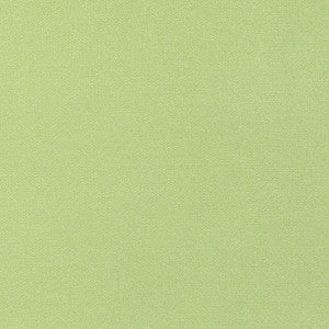 Tessa Kiwi W81656 by Thibaut Fabric