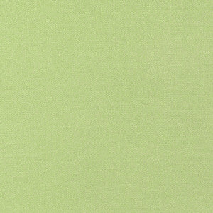 Tessa Kiwi W81656 by Thibaut Fabric