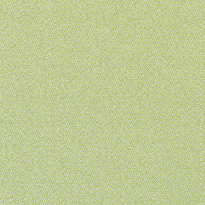 Thibaut Fabric Castaway Kiwi W81712 