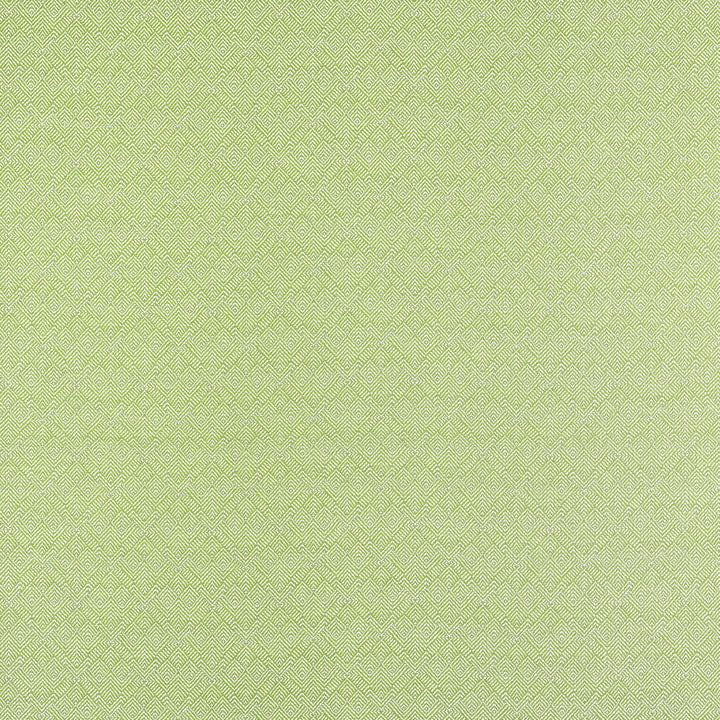 Thibaut Fabric Calista Kiwi W81716  Fabric U.S.A </p><p>Repeat: H: 4.75 in (12.06 cm), V: 5.25 (13.34 cm) 53 in  (134.62 cm) - My Fabric Connection -