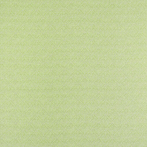 Thibaut Fabric Calista Kiwi W81716 