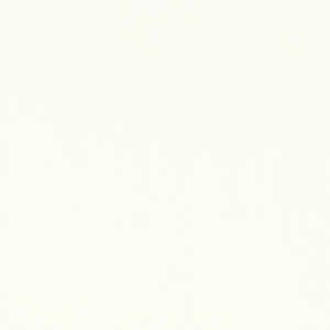 Mirasol Velvet Ivory W81734 By Thibaut Fabric