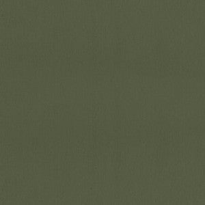 Mirasol Velvet Juniper W81740 By Thibaut Fabric