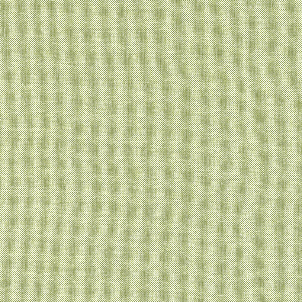 Finn Kiwi W81759  by Thibaut Fabric Thibaut Fabric Finn Kiwi W81759 Fabric SOLEIL TEXTURES U.S.A </p><p>Repeat: H: , V: 0 (0.00 cm) 53.5 in  (135.89 cm) - Fabric Carolina -