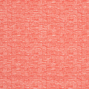 Cestino Coral W8516 by Thibaut Fabric