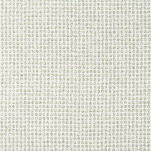 Remy Dot Aloe W8703 by Thibaut Fabric