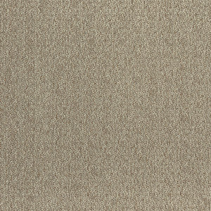 Athena Latte W8734 by Thibaut Fabric