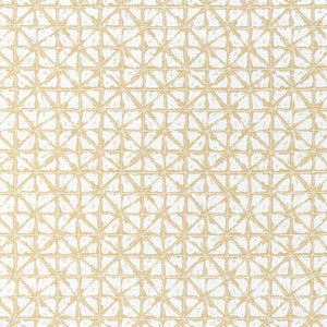 Soren Straw W8741 by Thibaut Fabric