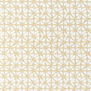 Soren Straw W8741 by Thibaut Fabric