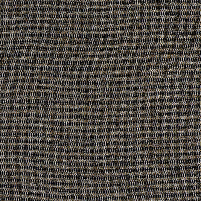 Sacchi Ebony W8758 by Thibaut Fabric Thibaut Fabric Sacchi Ebony W8758Fabric Haven Textures 100% Polyester (UV) U.S.A. </p><p>Repeat: V: - 54 - Fabric Carolina -