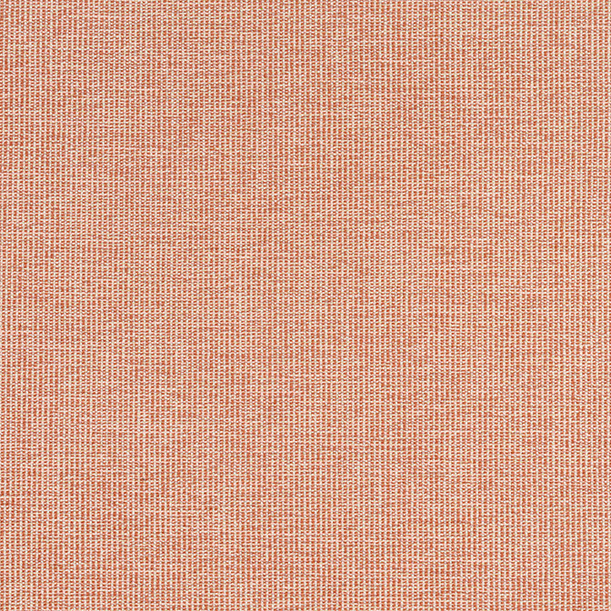Sacchi Terracotta W8761 by Thibaut Fabric Thibaut Fabric Sacchi Terracotta W8761Fabric Haven Textures 100% Polyester (UV) U.S.A. </p><p>Repeat: V: - 54 - Fabric Carolina -
