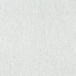 Arroyo Glacier W8785 by Thibaut Fabric