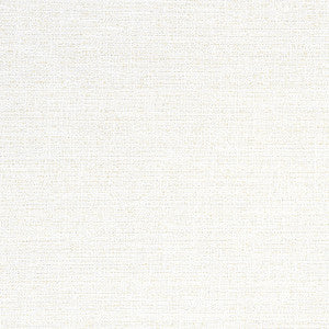 Adria Salt W8791 by Thibaut Fabric