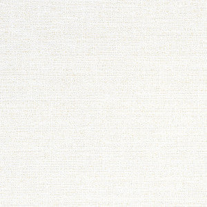 Adria Salt W8791 by Thibaut Fabric